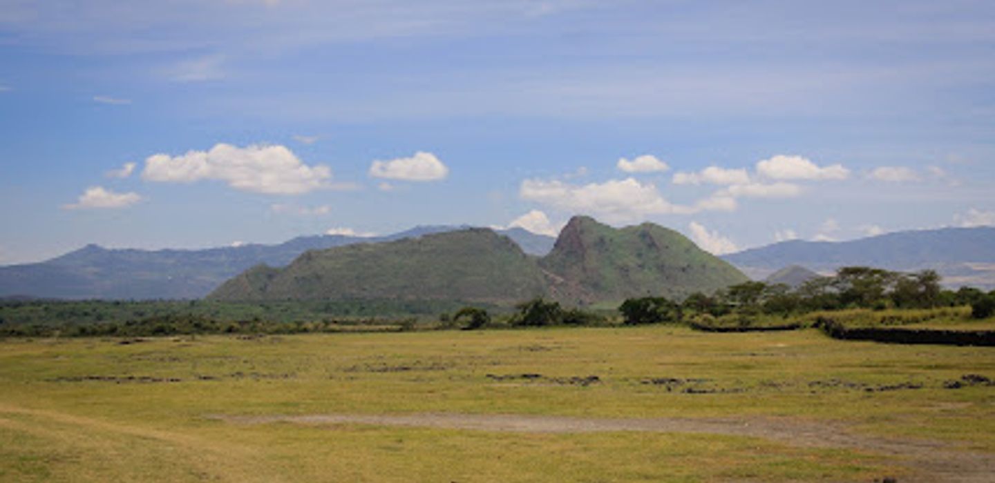 Background