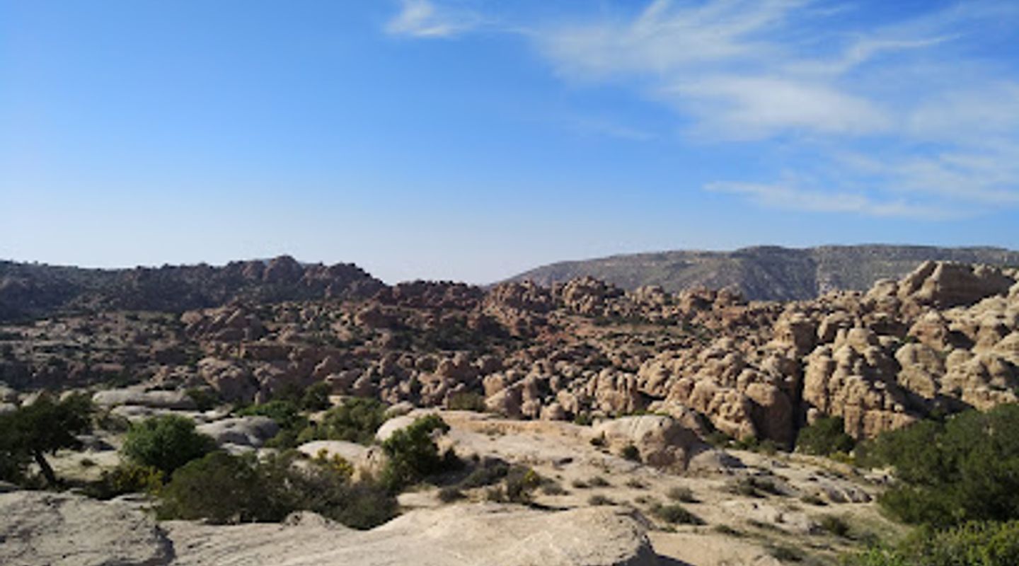 Dana Biosphere Reserve