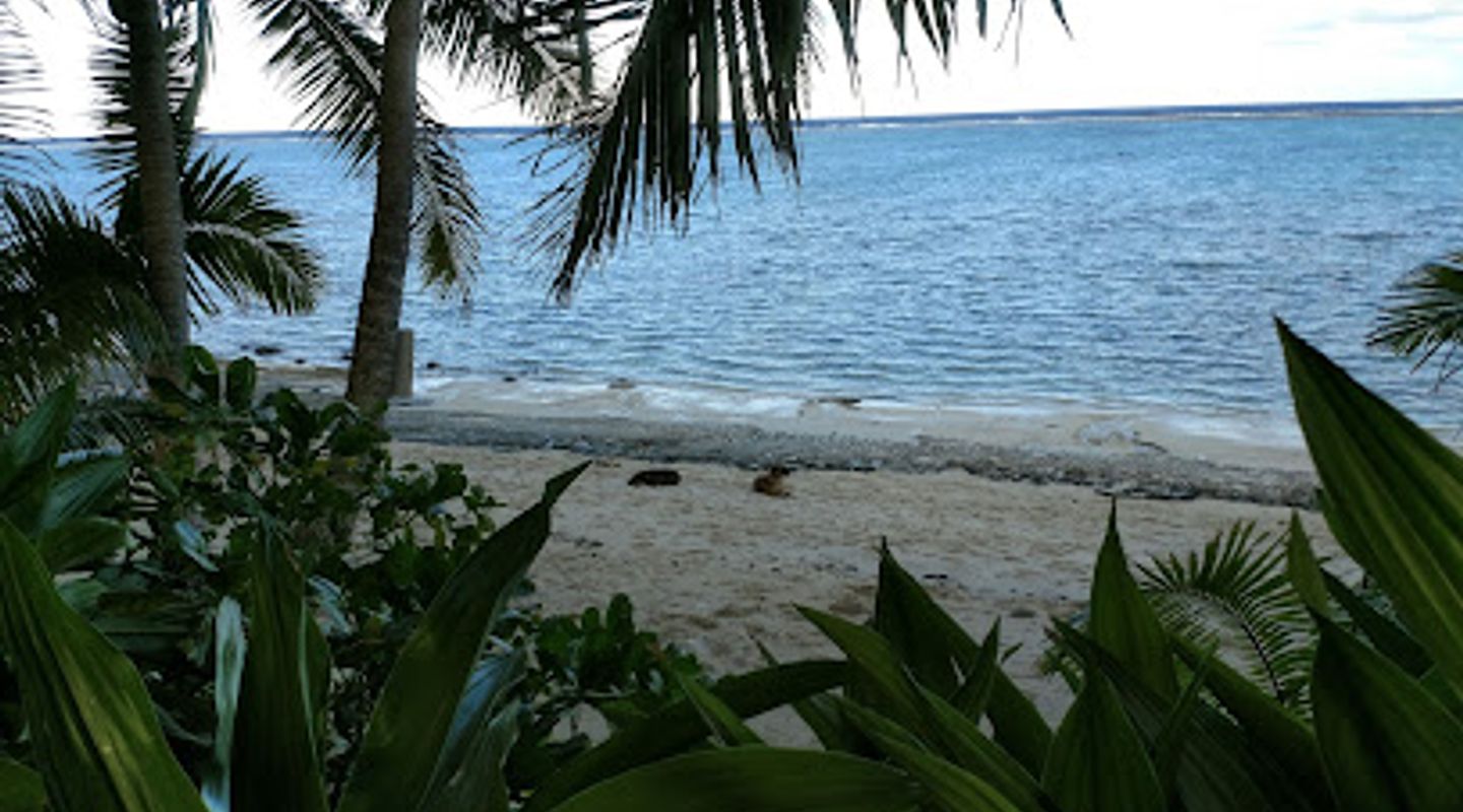 Background