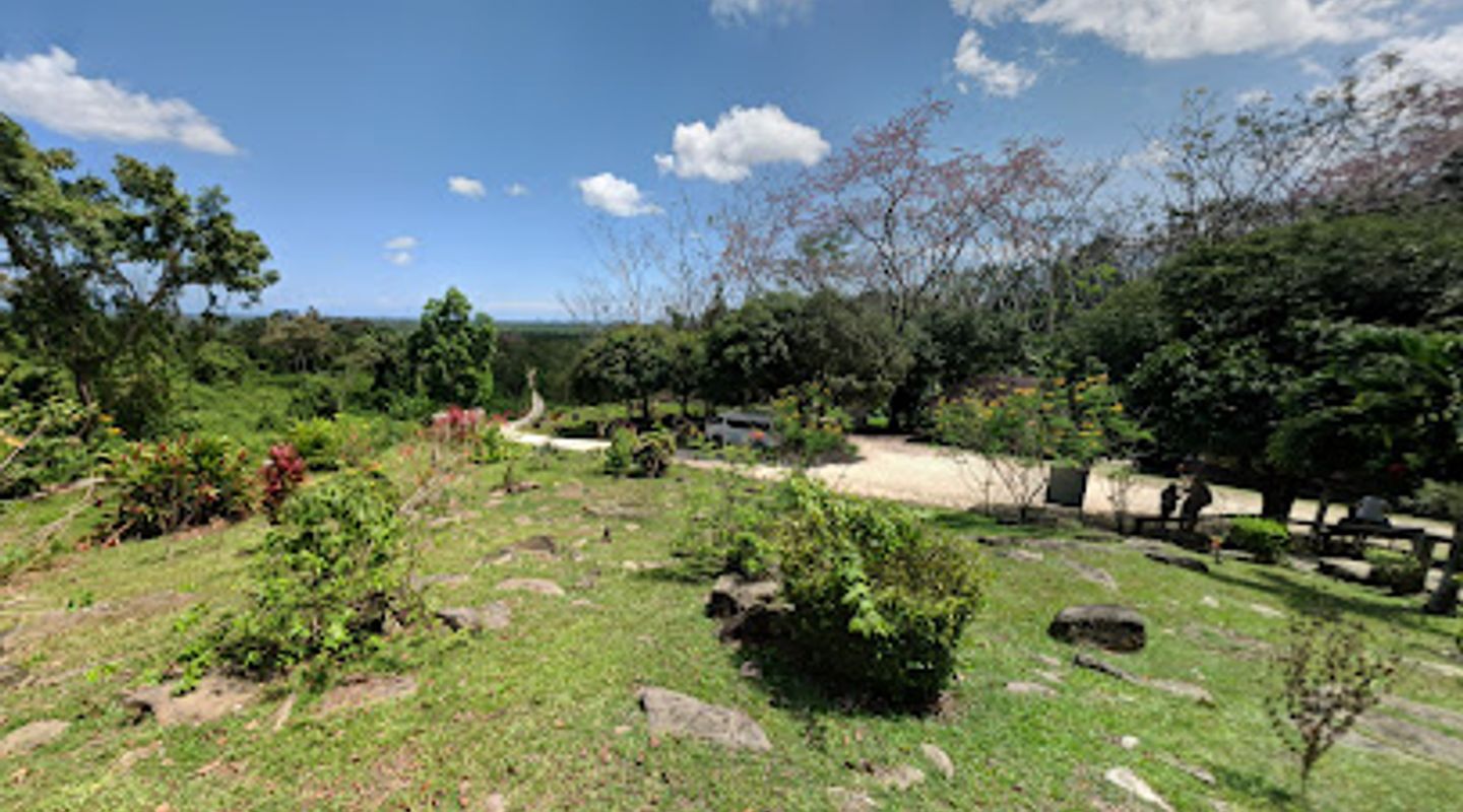 Background
