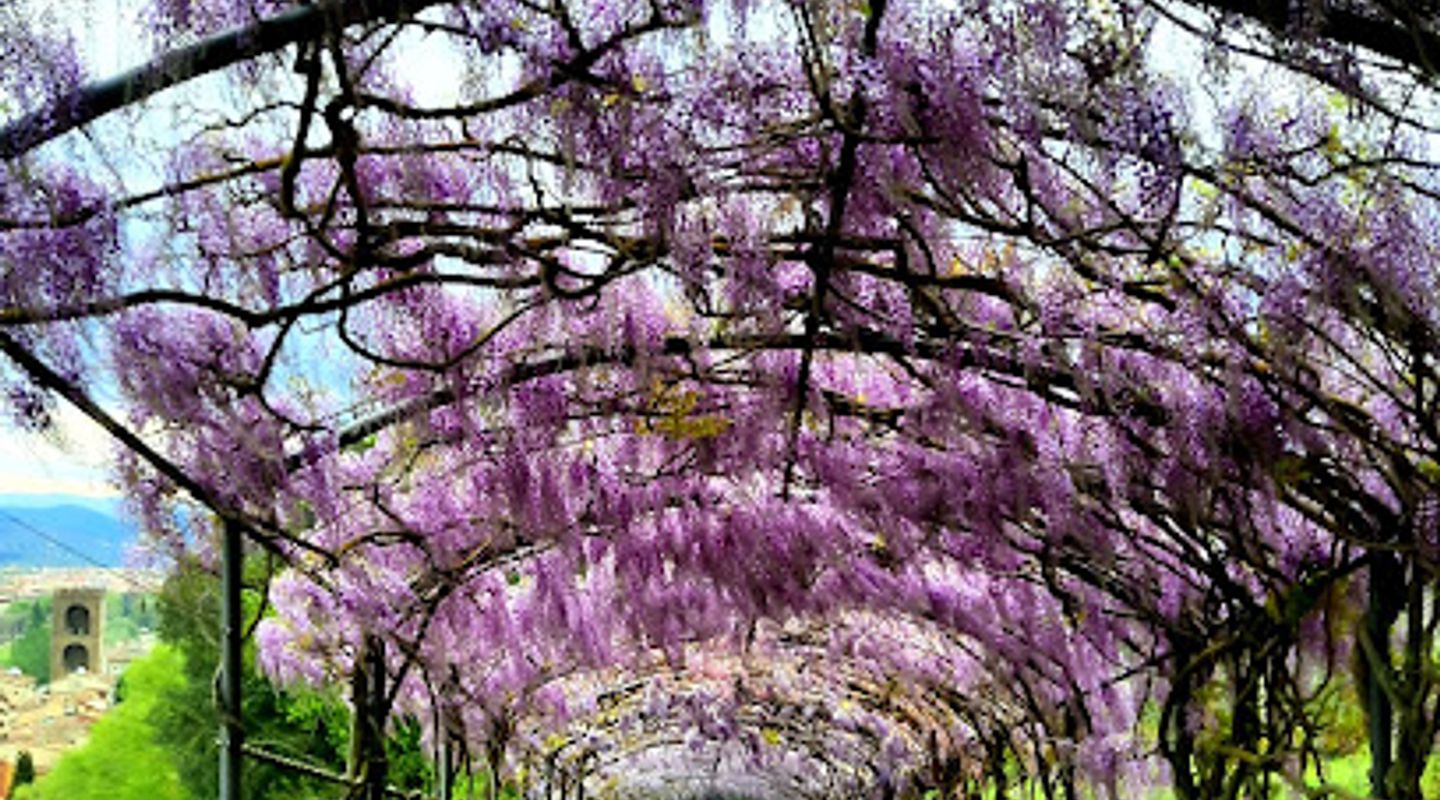 Giardino Bardini