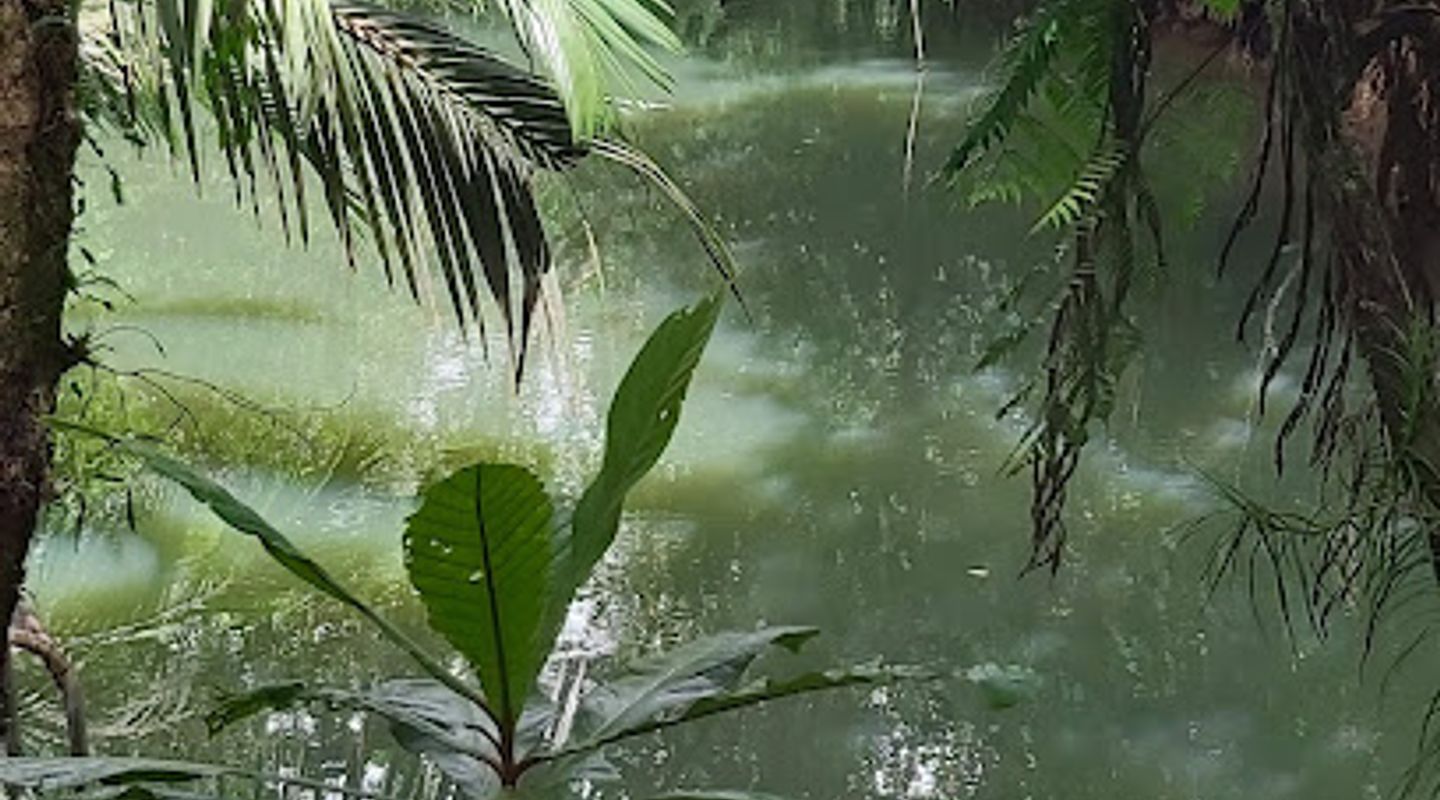 Background