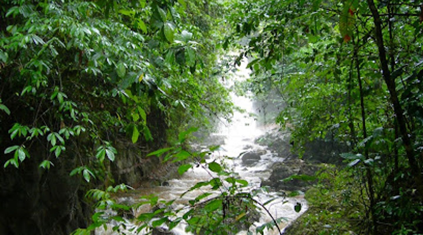 Amboro Tours