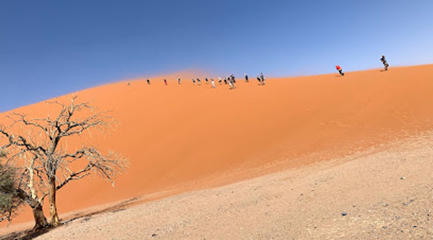 Background