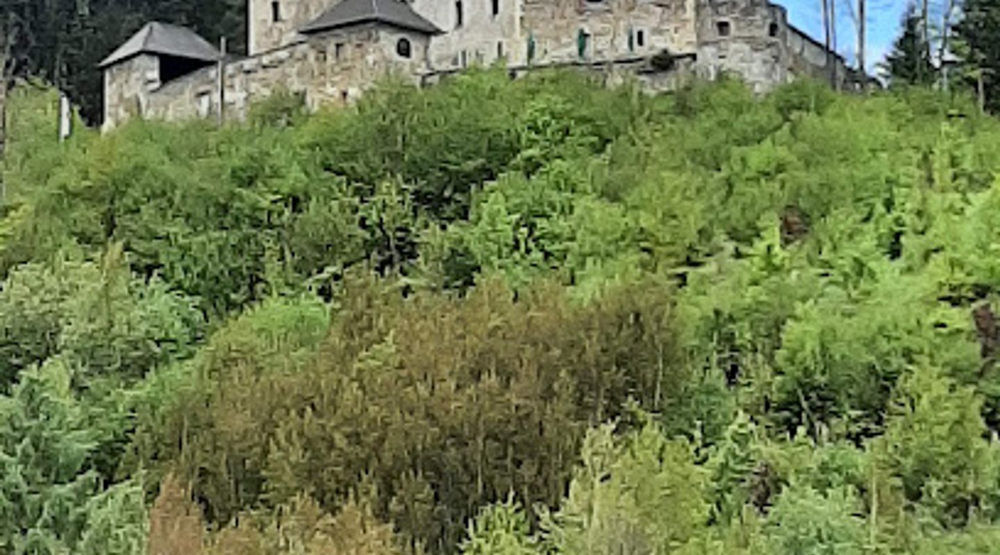 Background