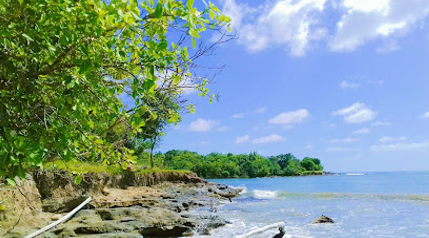 Background