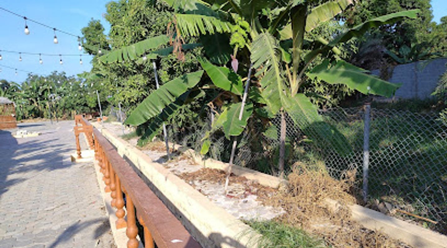 Background