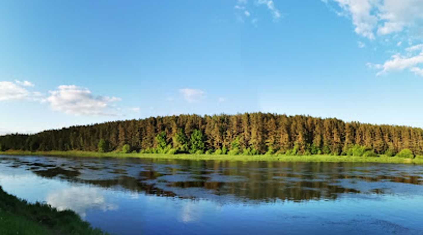 Background