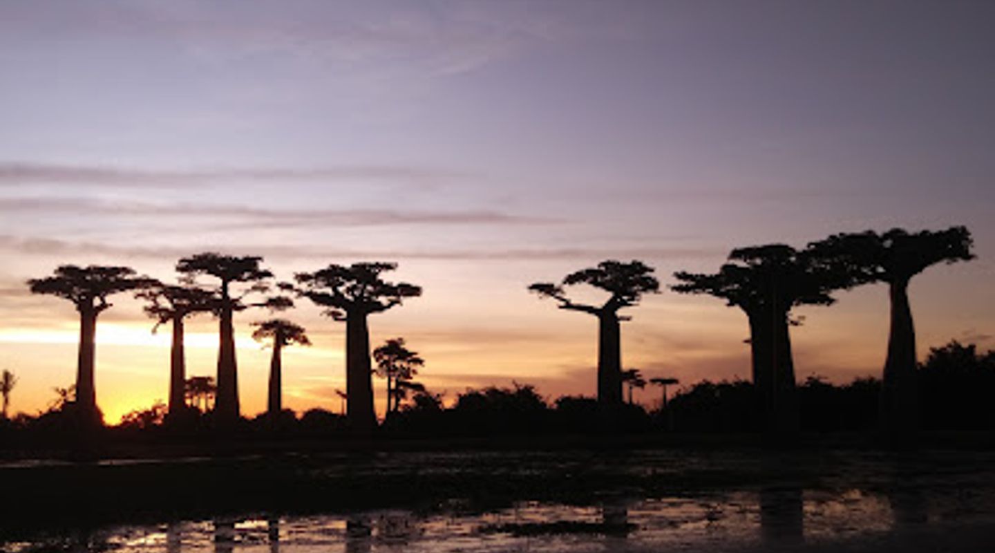 Madagascar junga tour