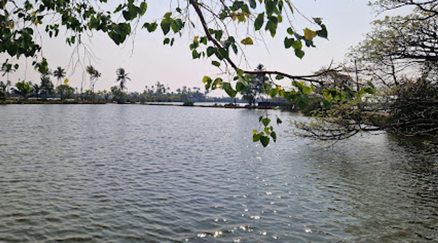 Background