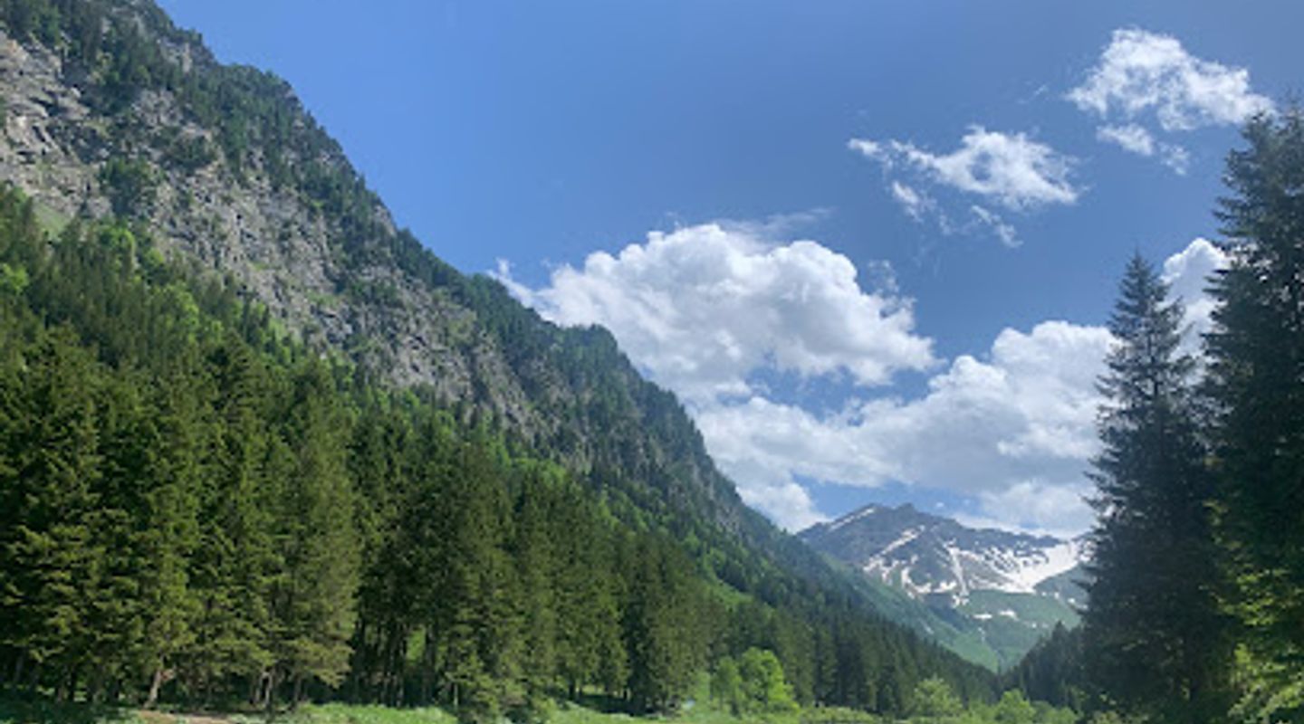 Background