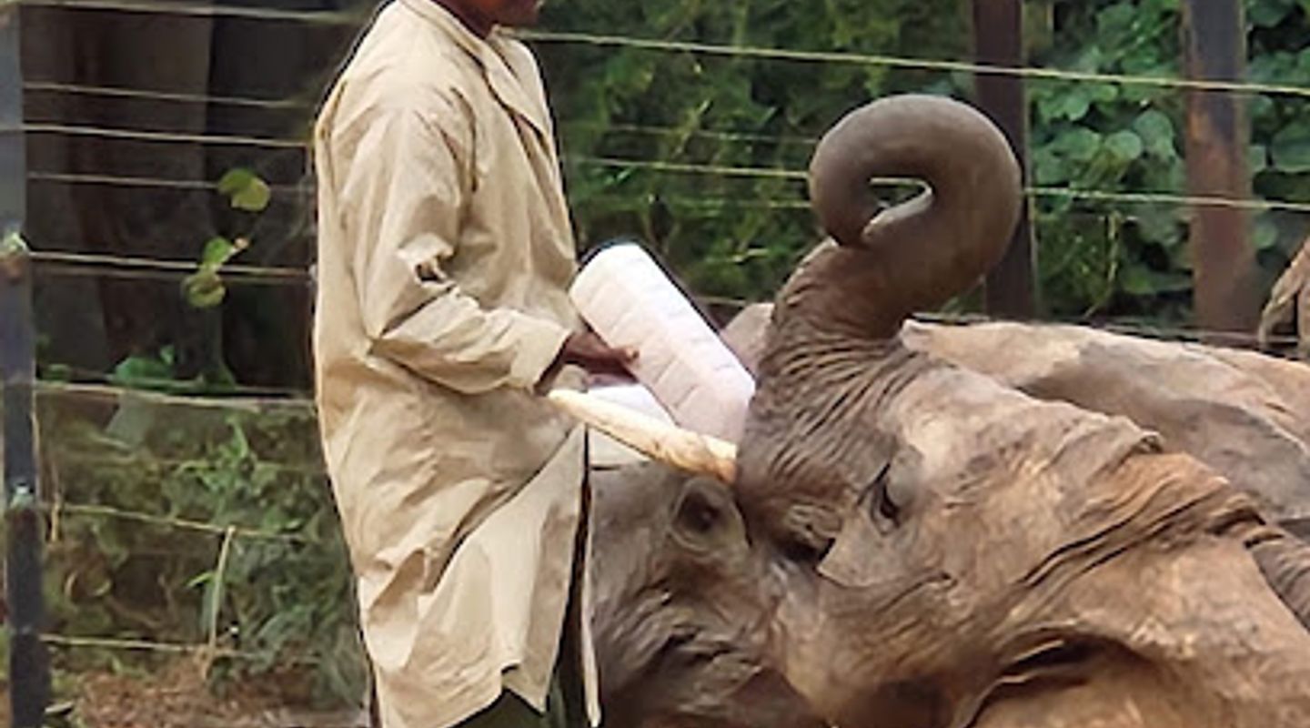 Background