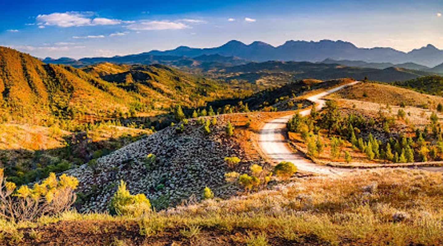 Razorback Lookout