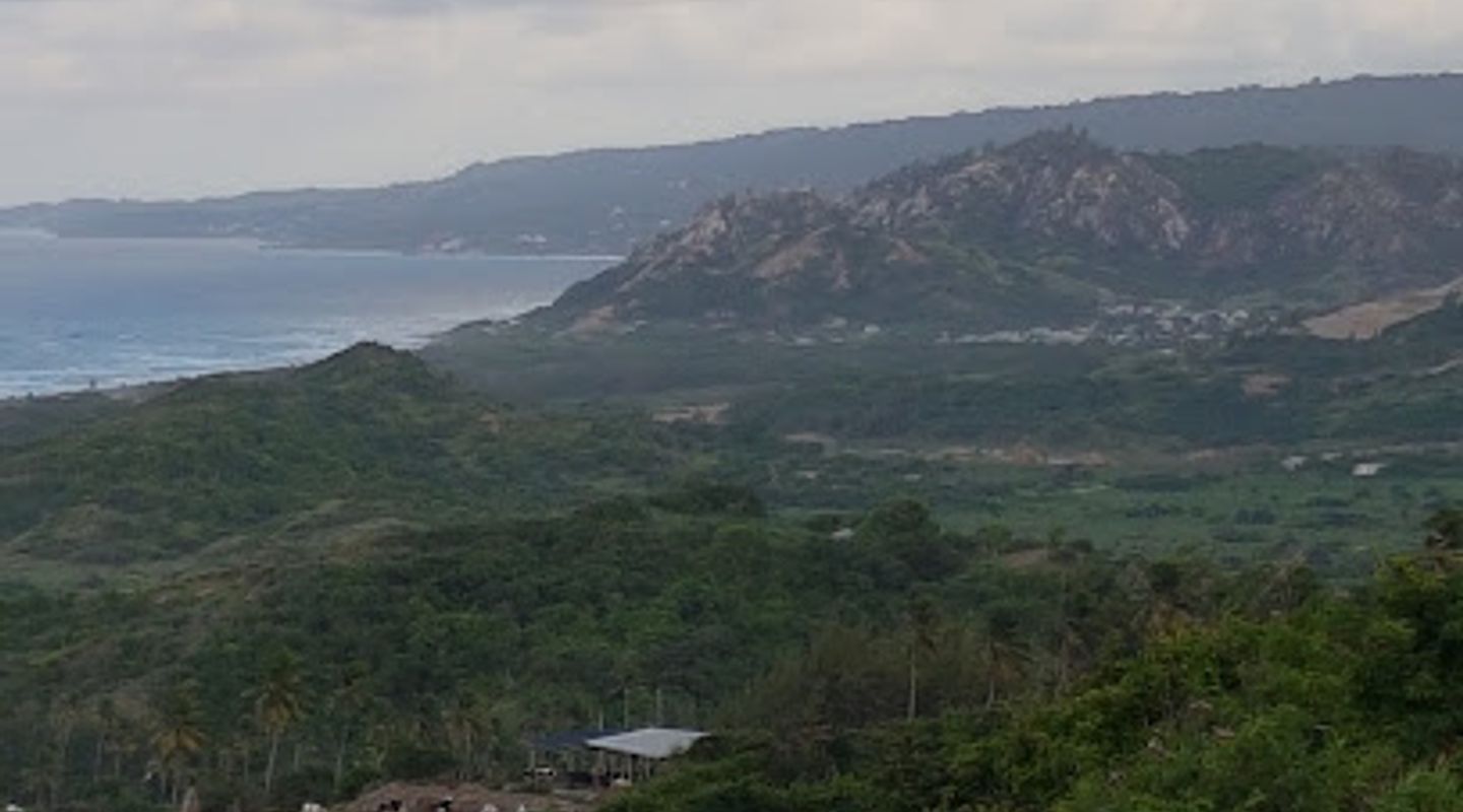 Cherry Tree Hill