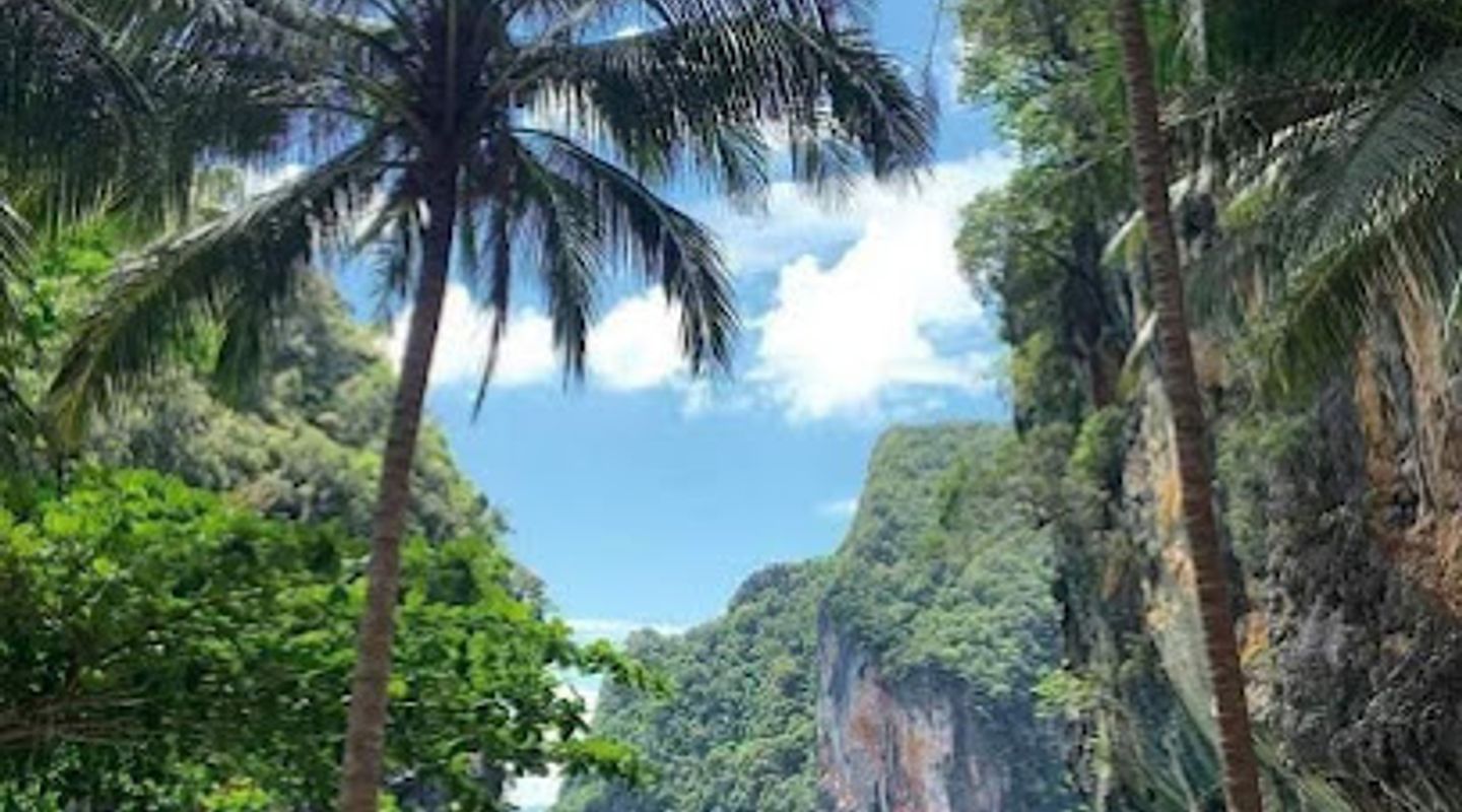 Background
