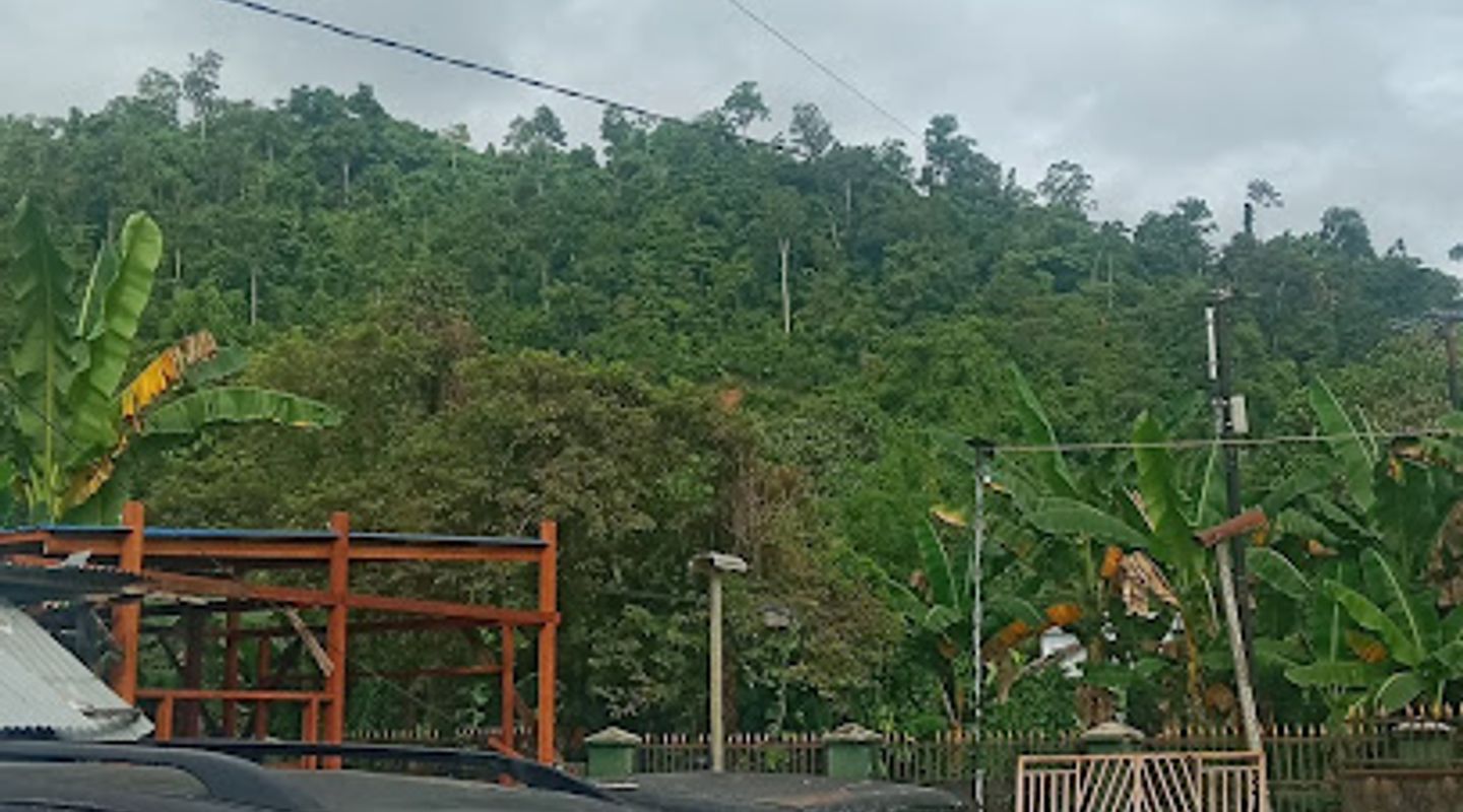 Background