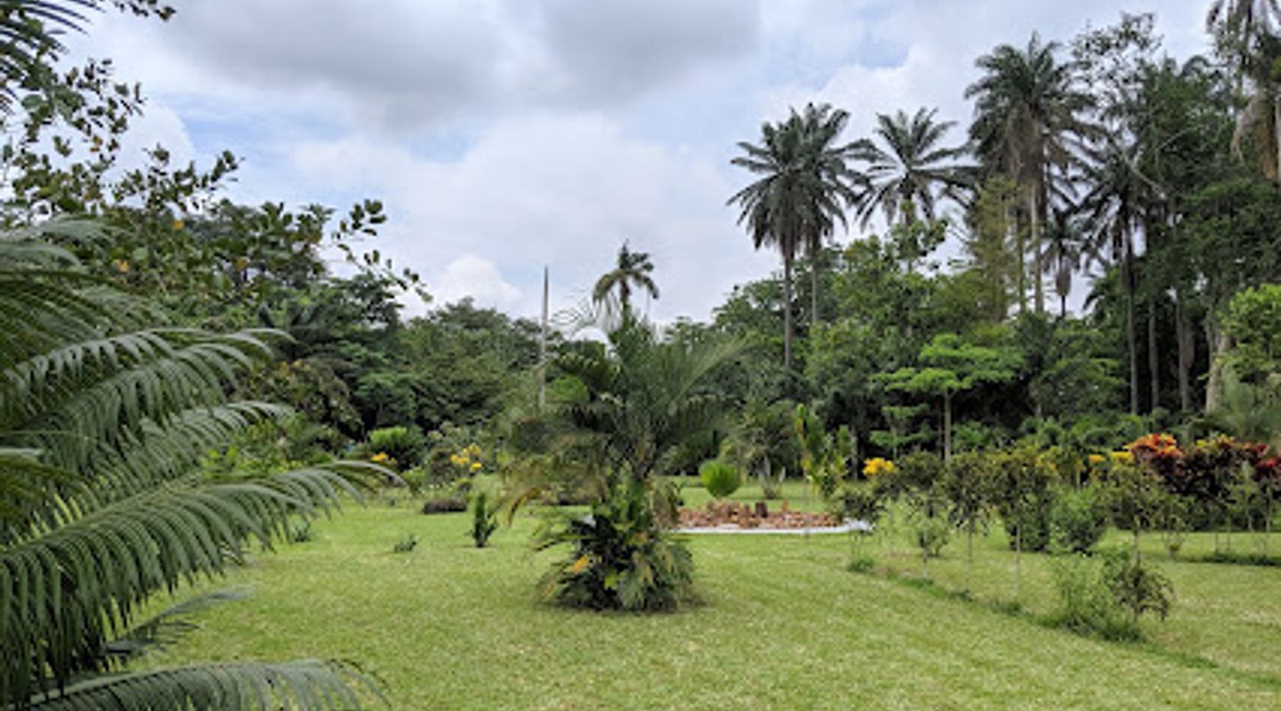 Background