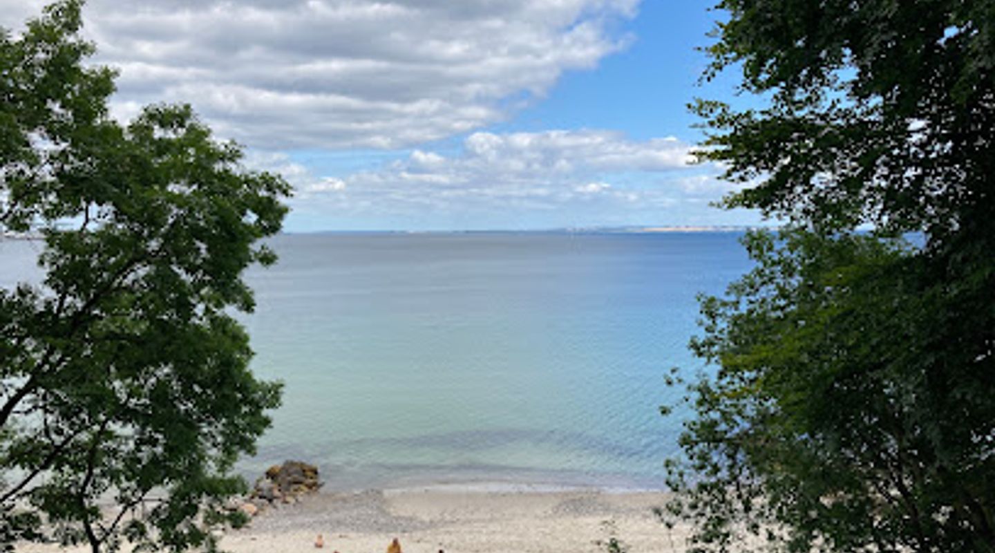 Marselisborg Deer Park