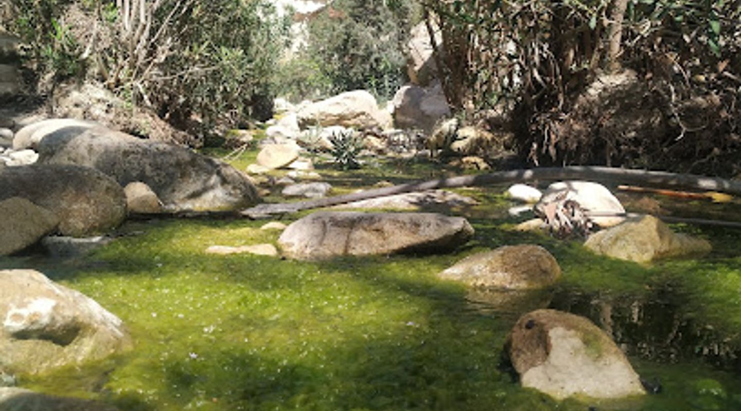 Background