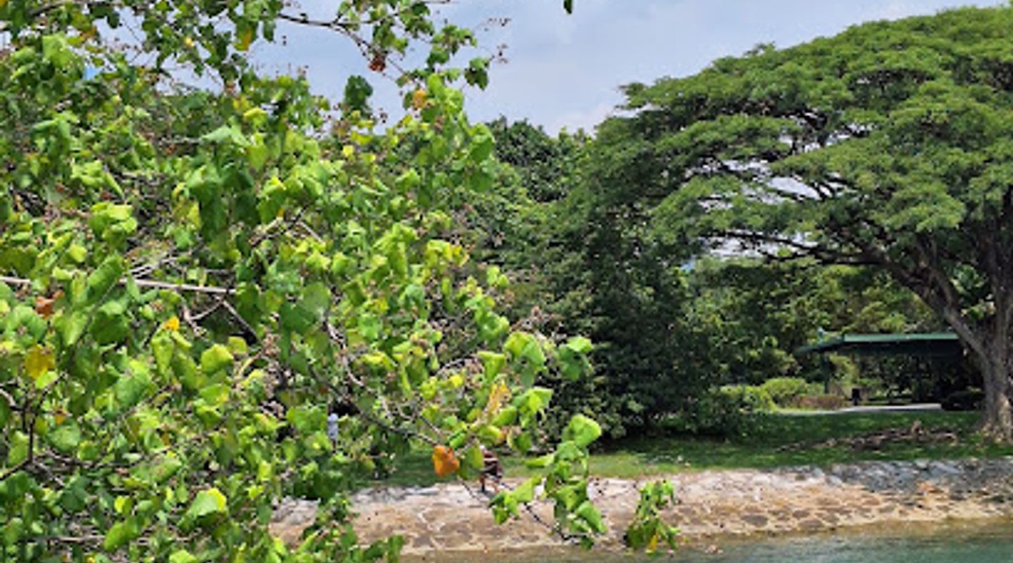 Background