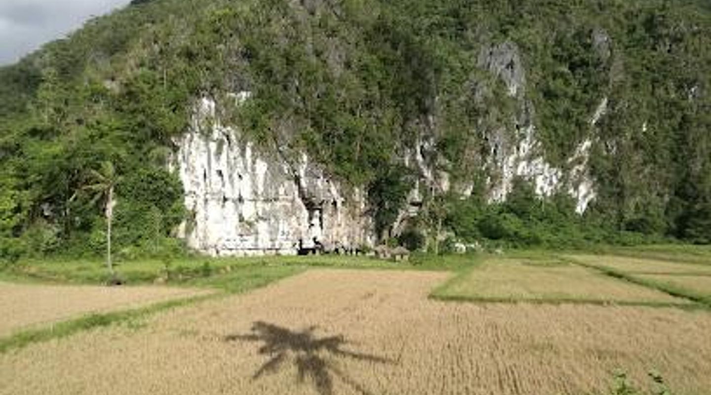 Background