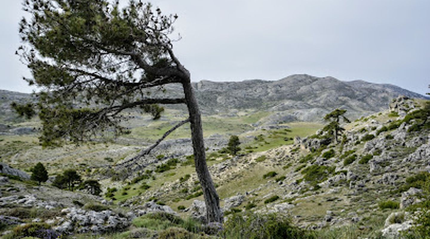 Background