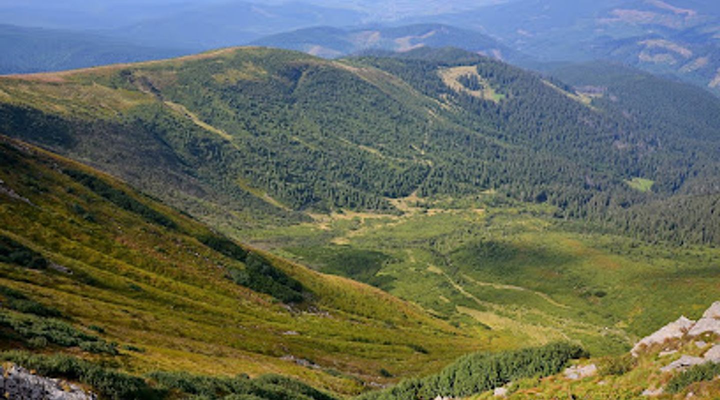 Background