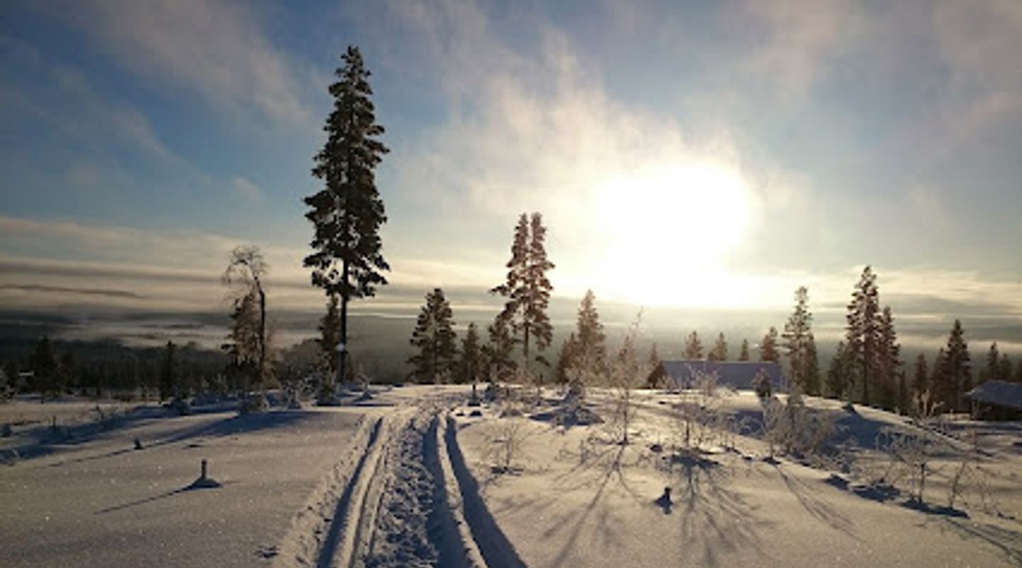 Background