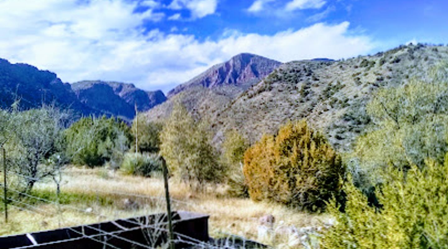 Background