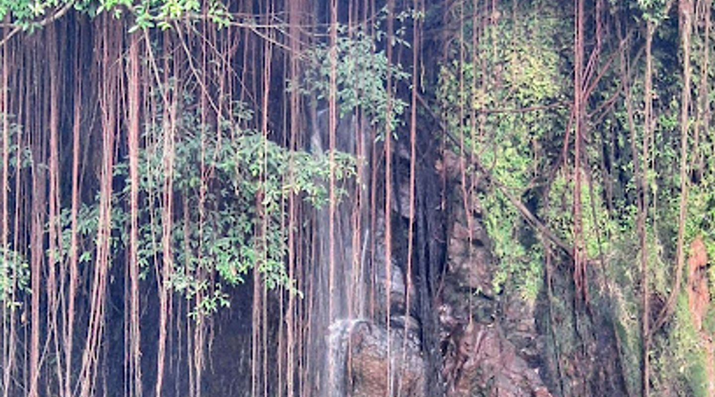 Background