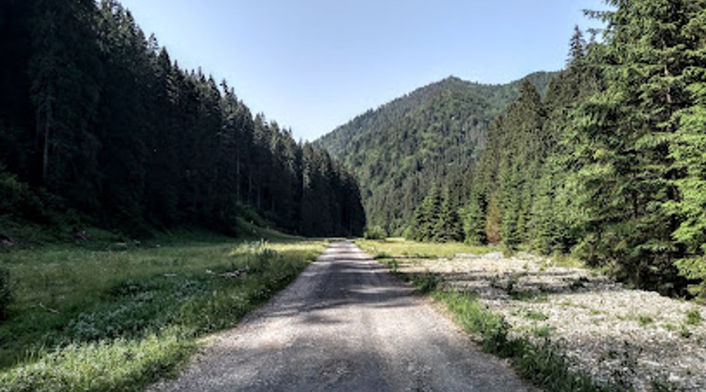 Background