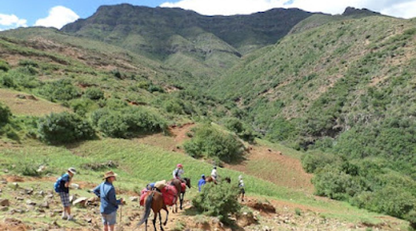 Thaba Tours