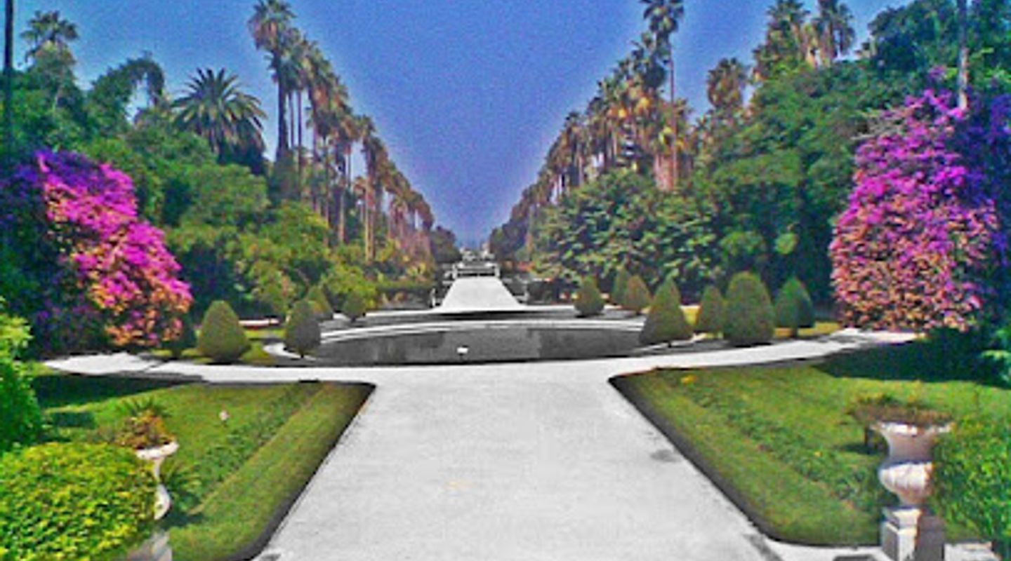 Background