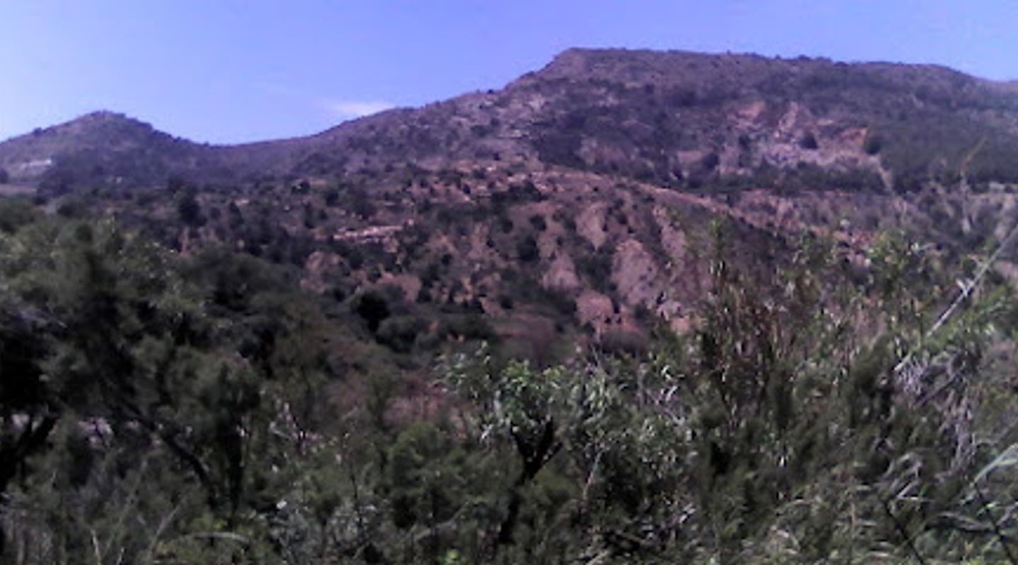 Background
