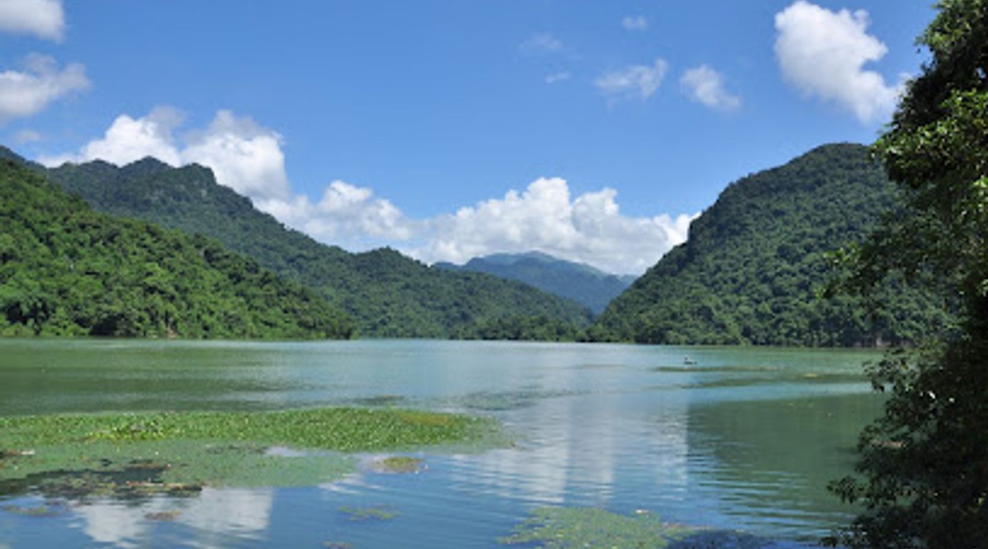 Background