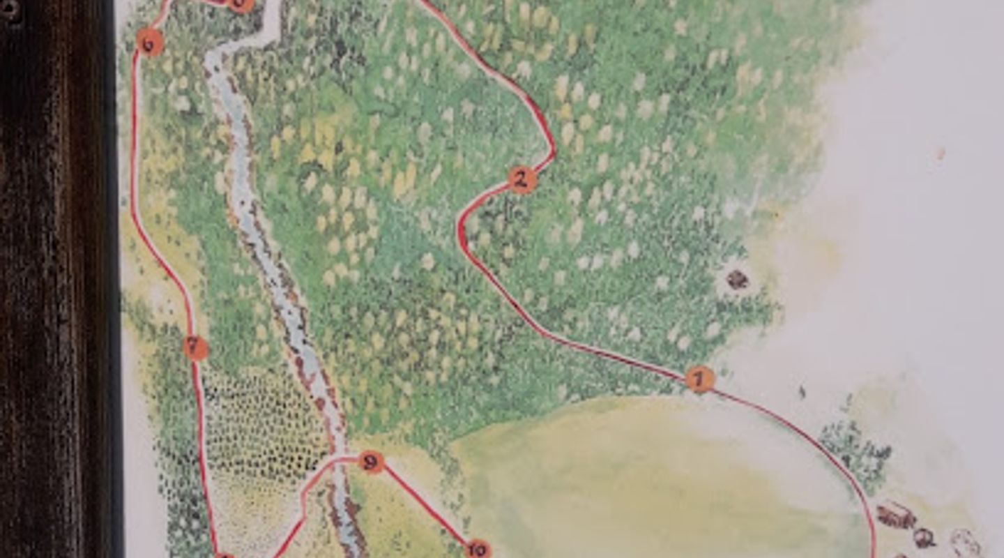 Hagan forest and culture path