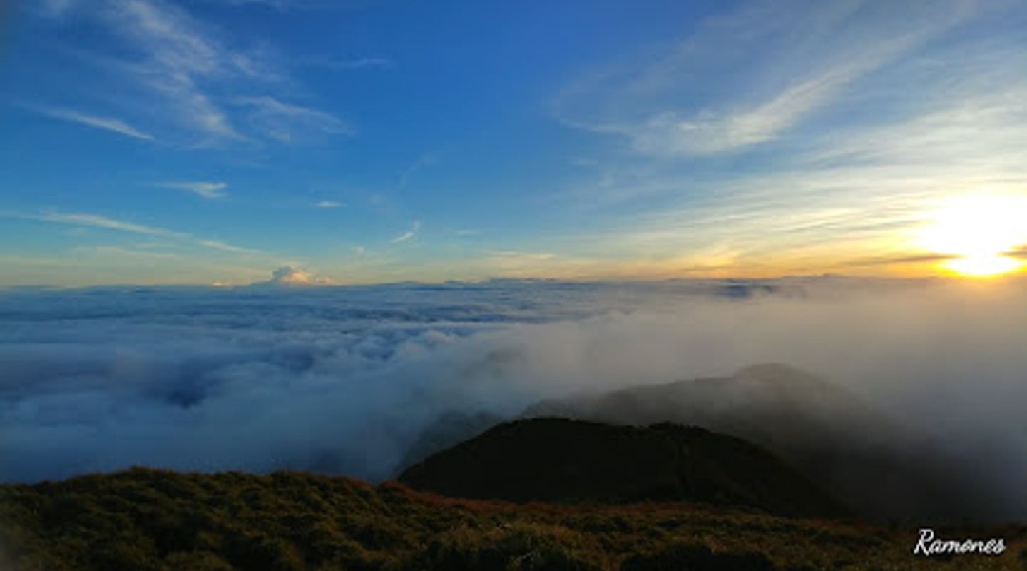 Background