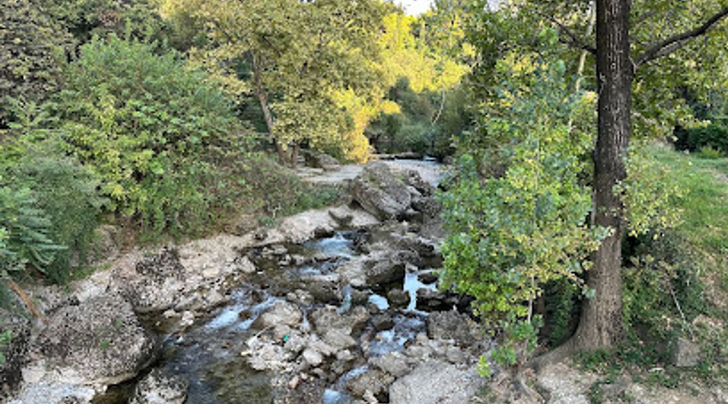 Background