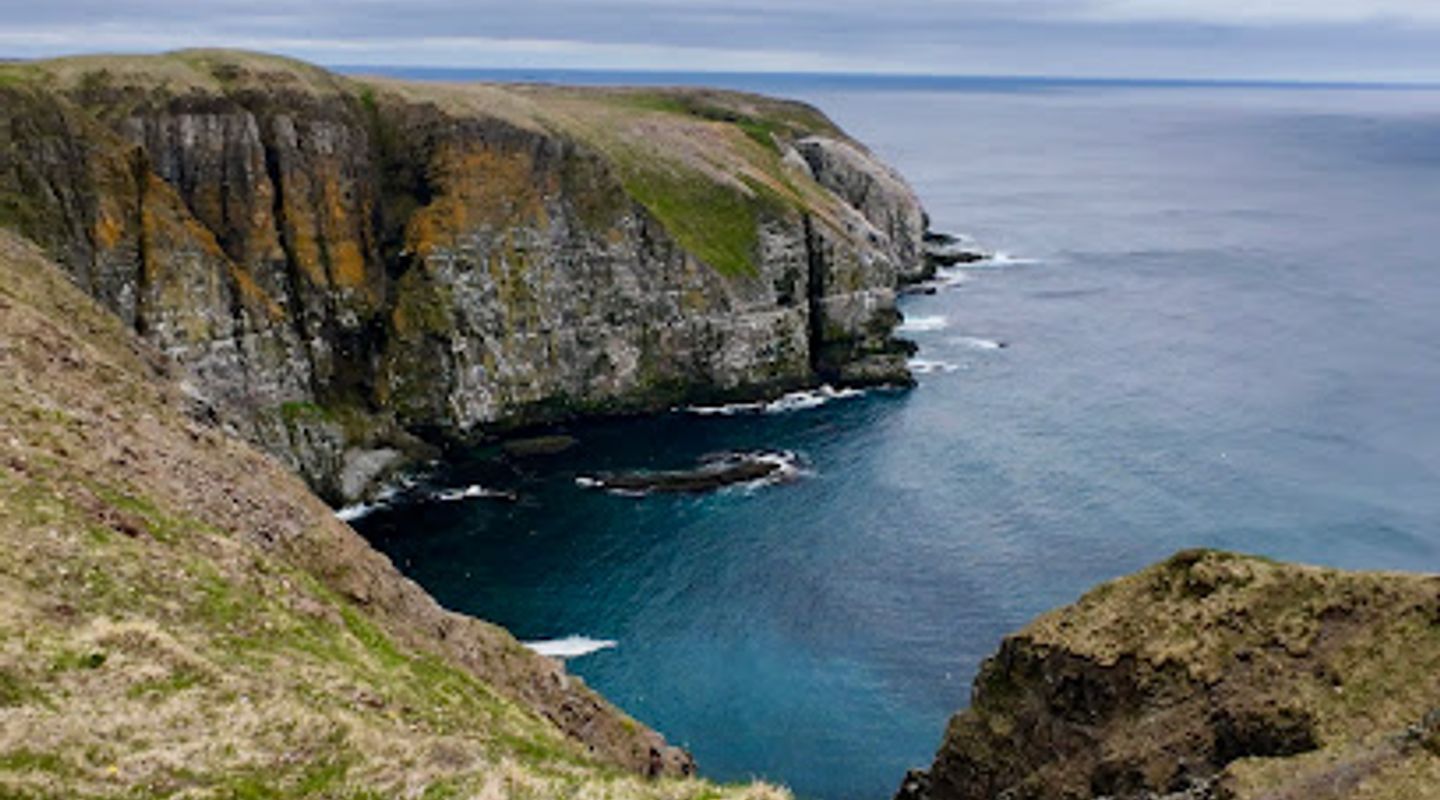 Cape St. Mary's Ecological Reserve