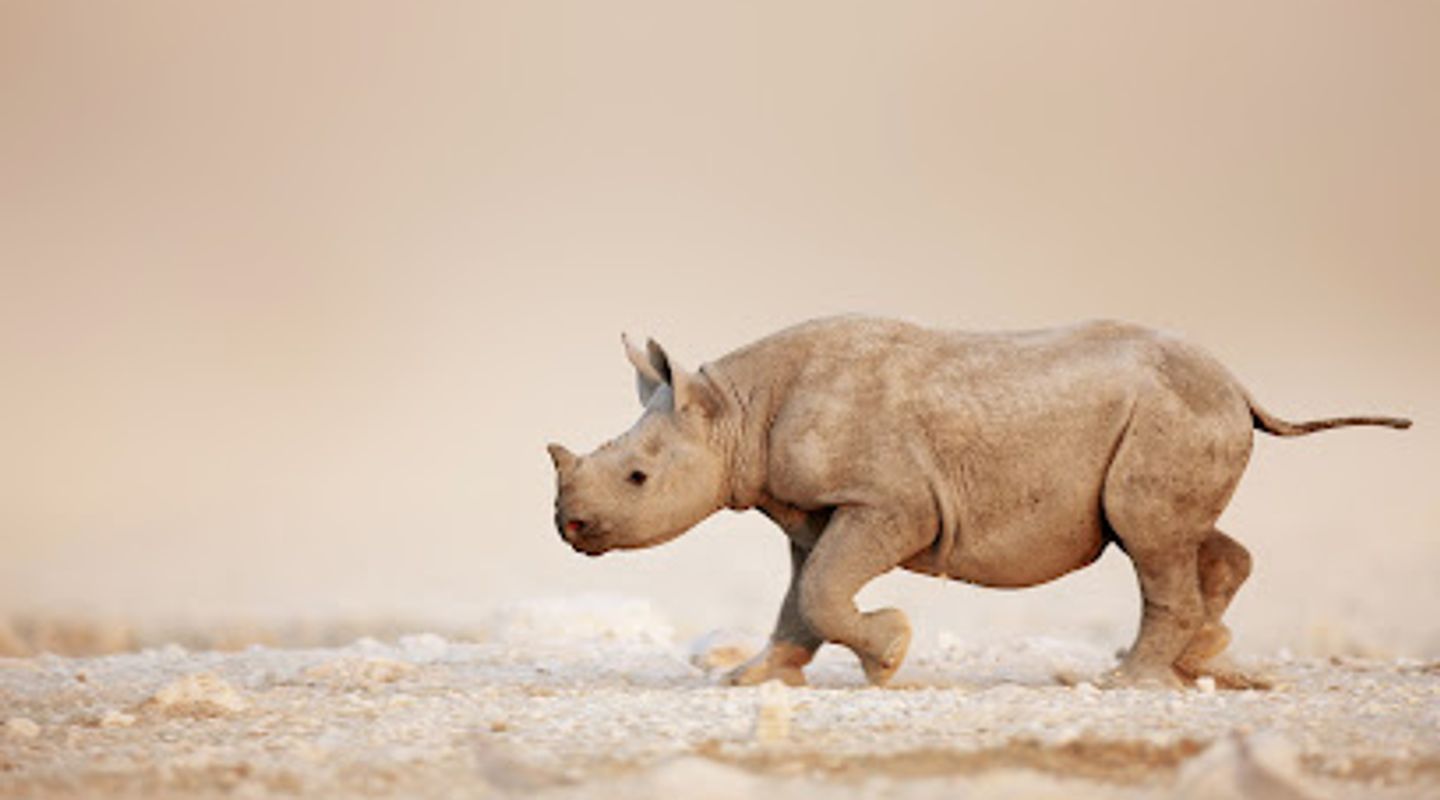 Secret Namibia