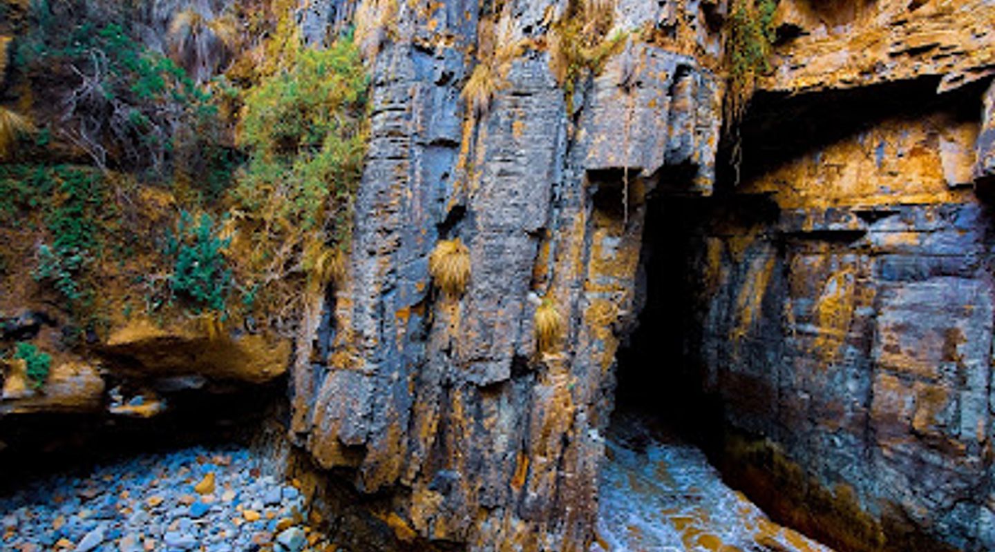 Background