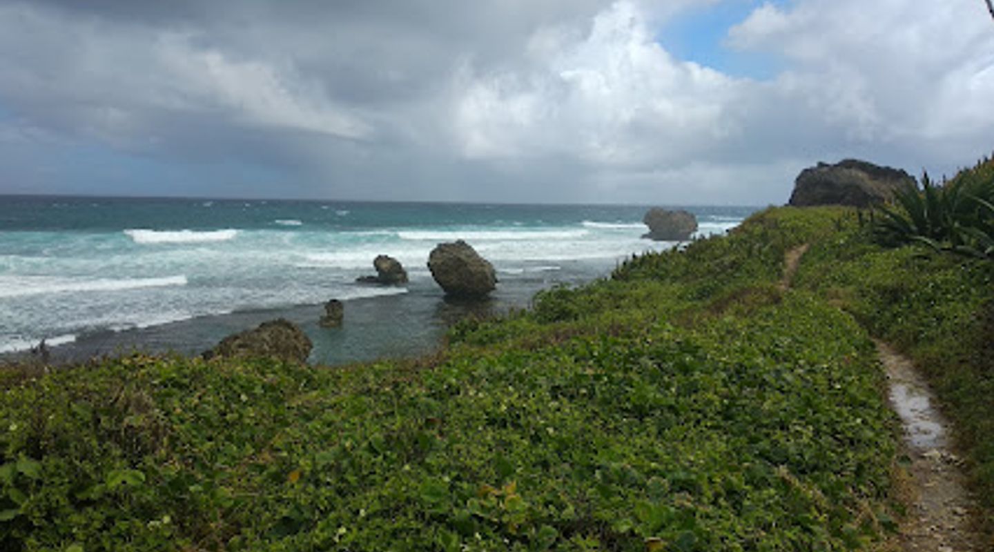 Background