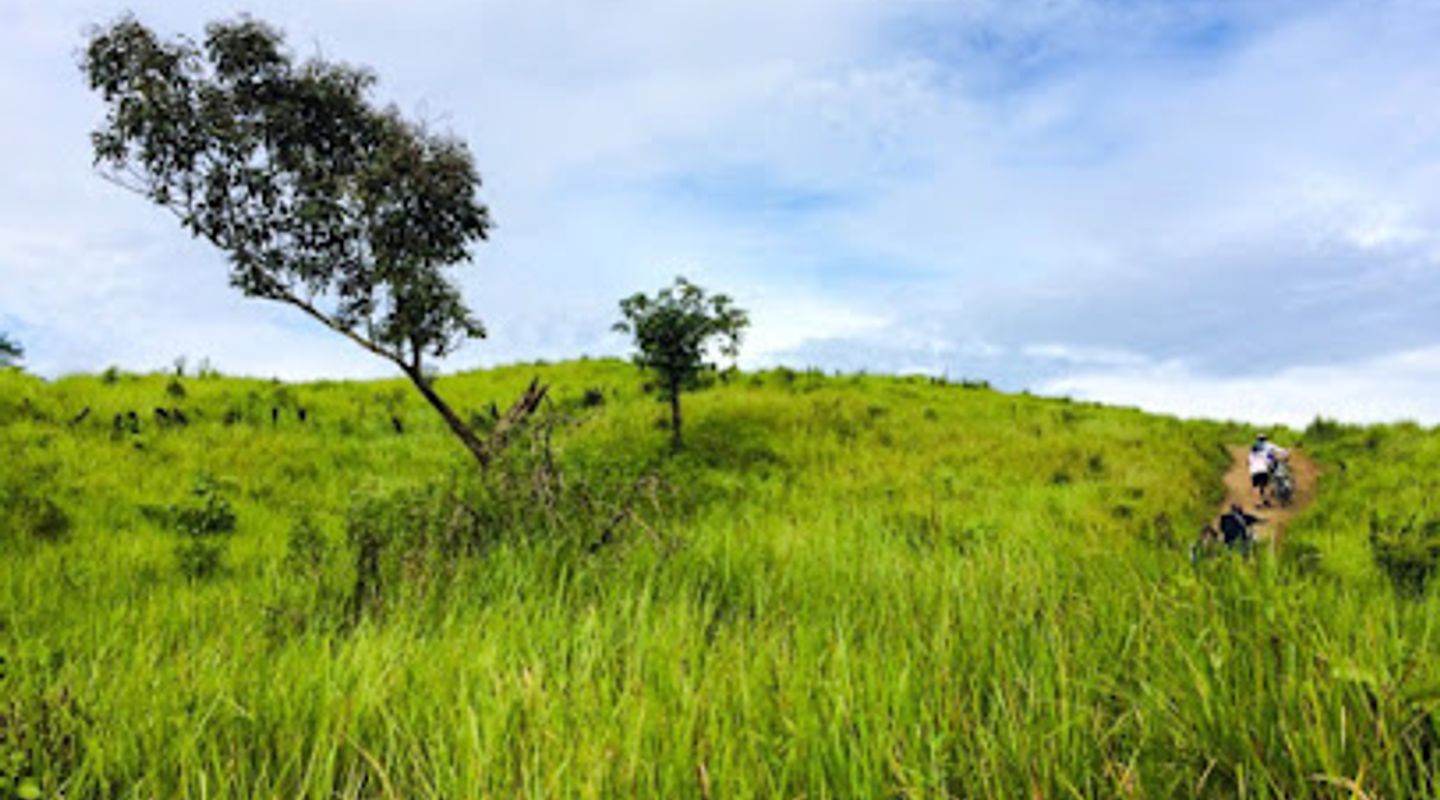 Background