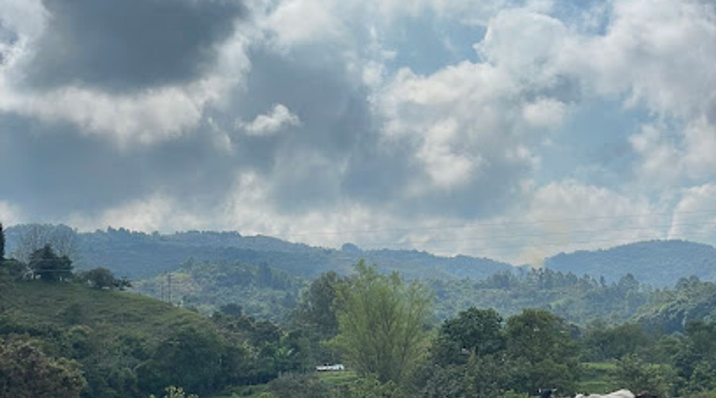 Background