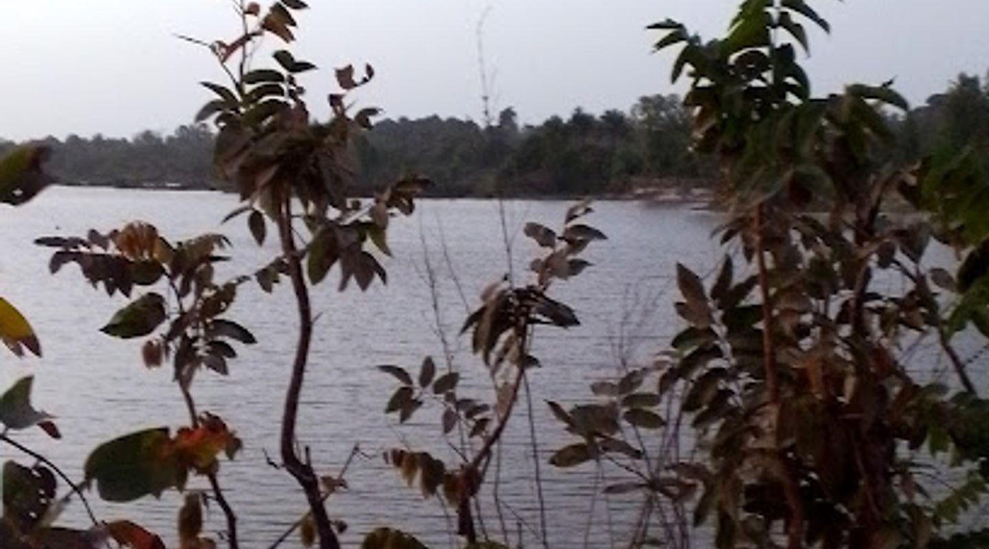 Background