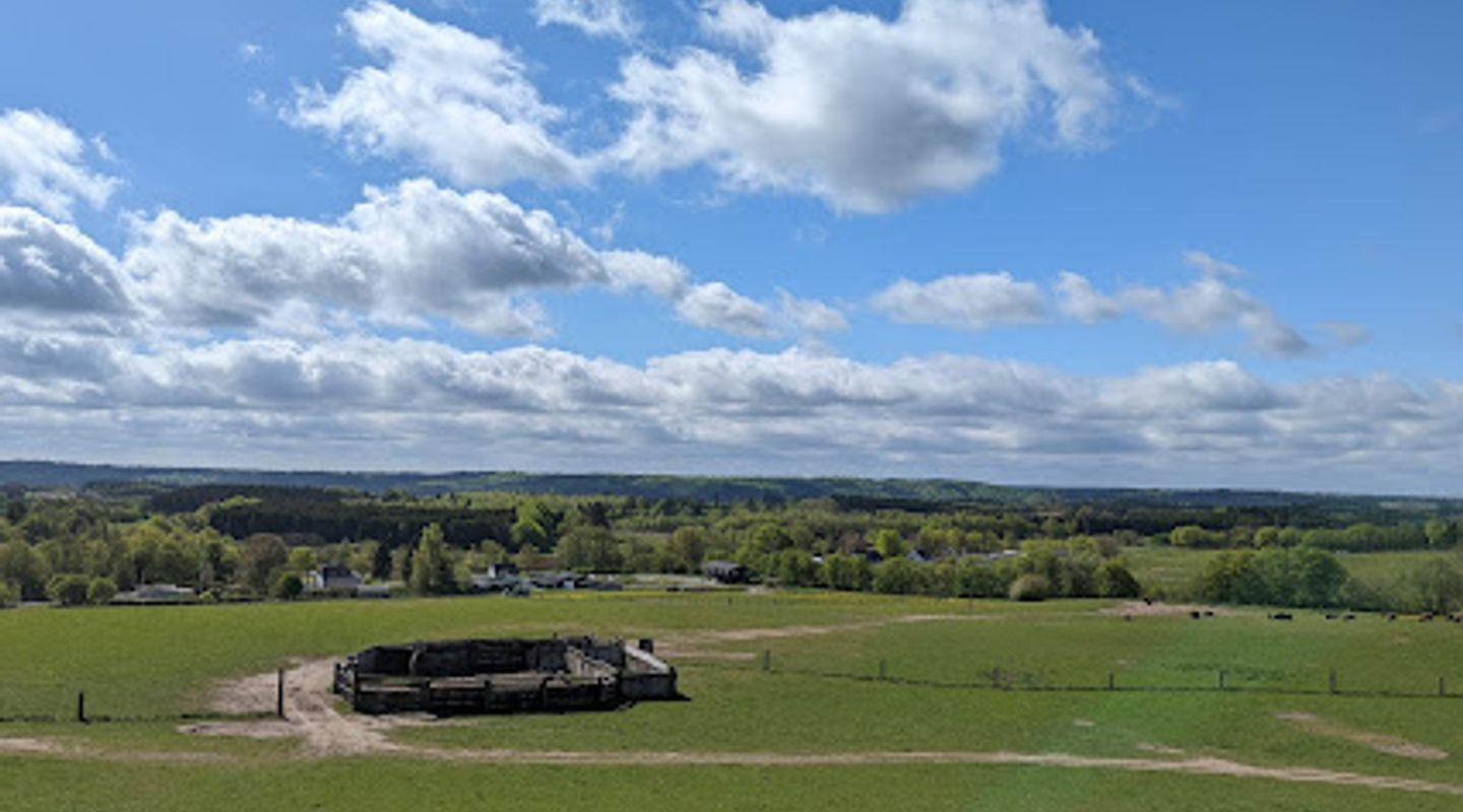 Silkeborg Rovfugleshow
