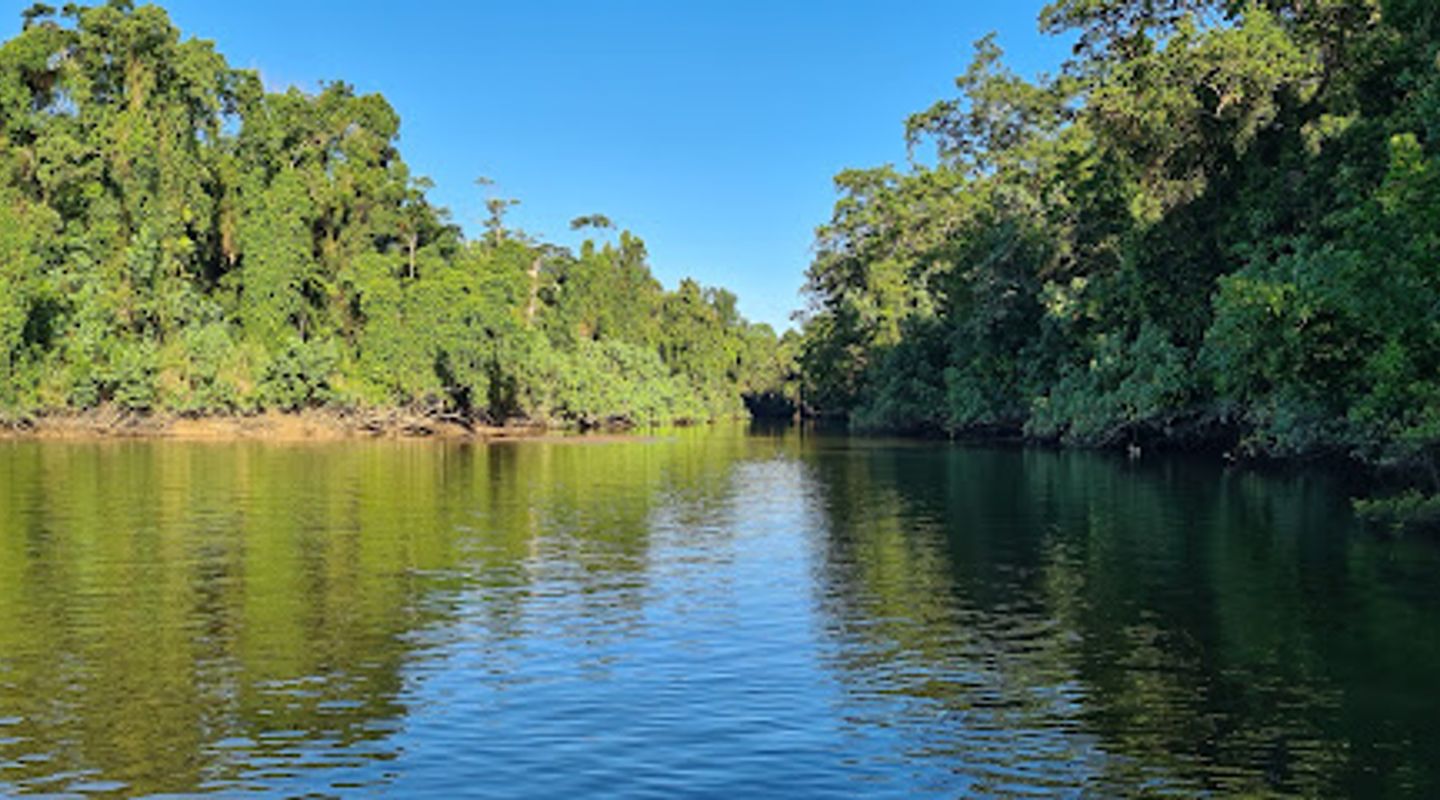 Bruce Belcher & Son Daintree River Cruises