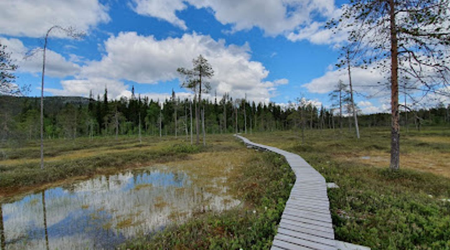 Pyhätunturi