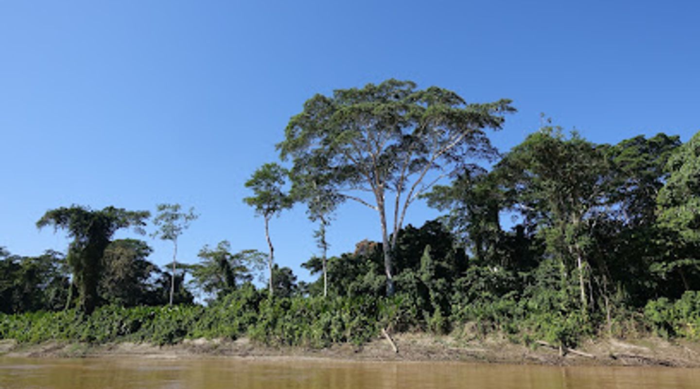 Rio Madre De Dios