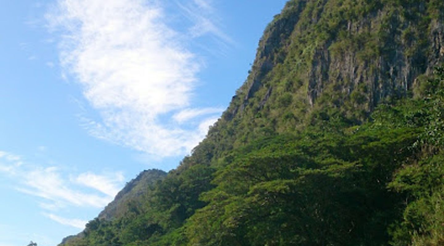 Background